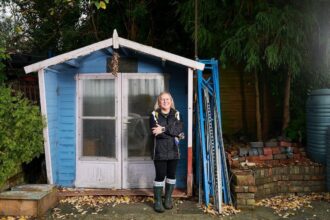 remise de jardin en bois bien agencée dans un extérieur soigné